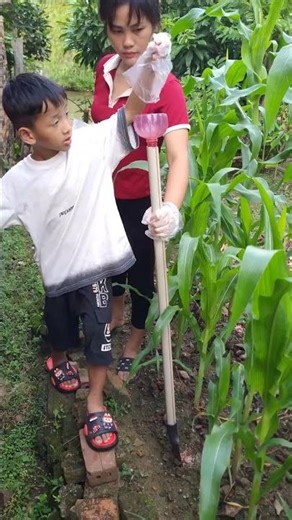 A Useful Fertilizing Tool That Makes Gardening Easier