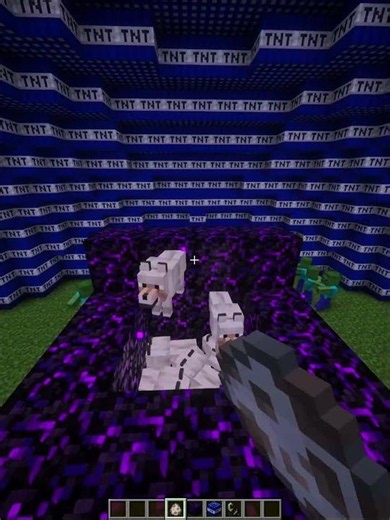 Minecraft Crazy Verity Tnt 🤯