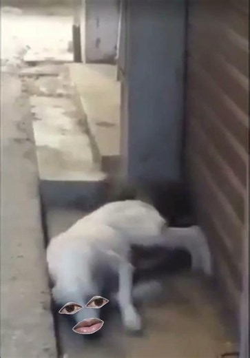 إضحك معنا ونسى همومك