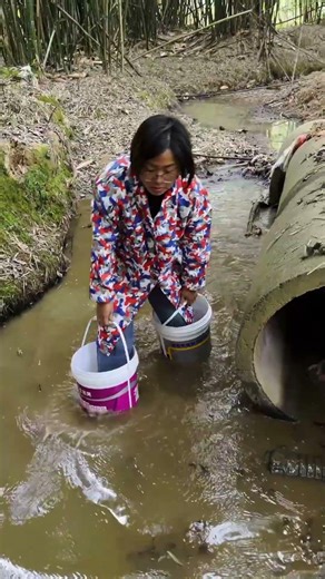 Creative river crossing hack: Stepping on buckets to keep shoes dry, rural life tip
