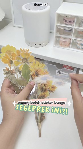 Emang boleh segeprek ini guys?? 🤭💗 | In Frame: 6Pcs DRIED FLOWER Deco Aesthetic PET (B0412) #sticker #journal