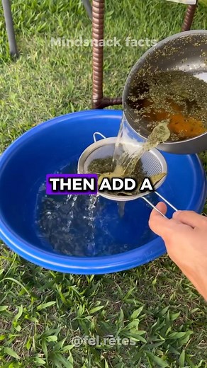 659K views · 8.4K reactions | Here’s why you need to know this — sometimes, it’s the smallest trick that unlocks the biggest change. The kind of shift that turns routine into growth and effort into mastery. Never underestimate what consistency and curiosity can do for you. #MindSnackFacts #LifeHacks #DailyGrowth #WisdomBytes #fblifestyle | Fel Retes | Facebook