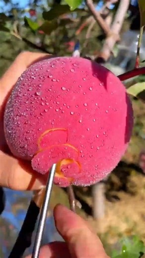 how do you get your students to confess #shorts #aliza