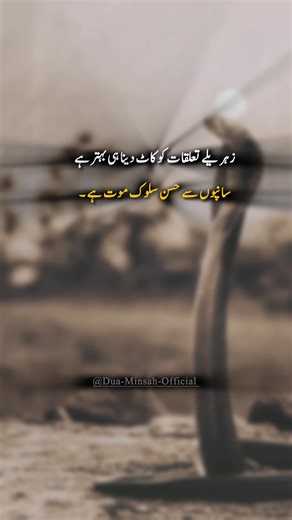 Unfreezing My TikTok Account: A Quick Guide