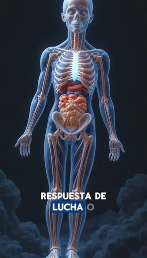 😱 Lucha o relájate 😌 | Sistema Simpático vs Parasimpático