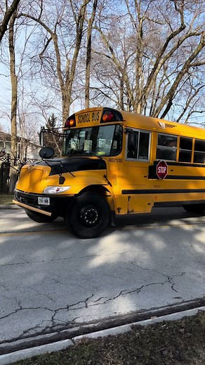 Heroes of the Road: School Buses in Canada and America