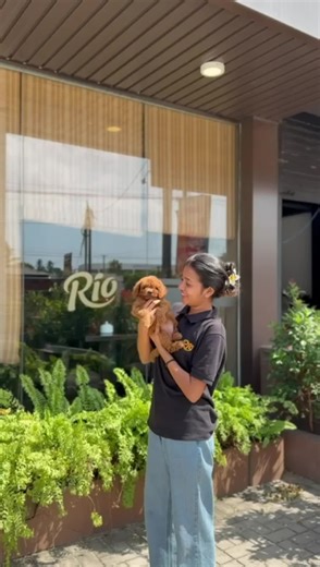 Playful Poodle Adventures at Rio Cafe