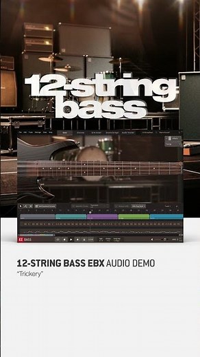 12-String Bass EBX – In the Mix