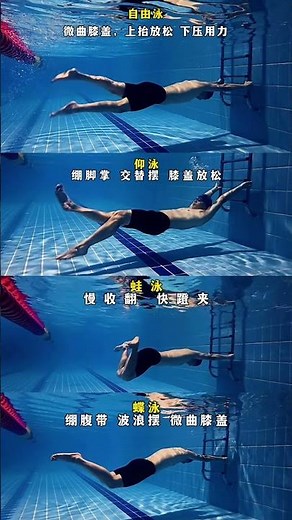 Master the 4 Swimming Strokes in 1 Video