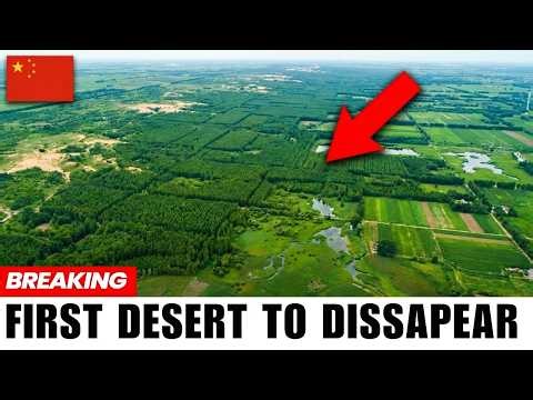 China Made an Entire Desert Disappear — And Nobody Is Talking About How