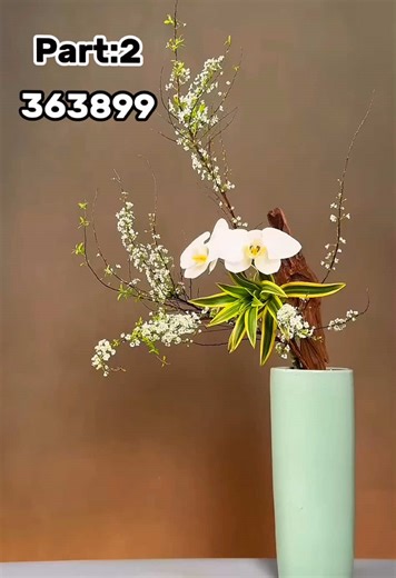 I was abandoned five days after I was born.#363899#storytime#book#foryou#usa🇺🇸