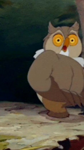Expressive Owl Animation in Enchanting Forest Scene