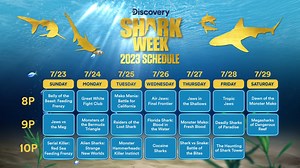 77K views · 3.4K reactions | IT'S HERE 拾麗 Time for sharks to become your entire personality  Check out the #SharkWeek schedule and comment which night you’re most excited to sink your teeth into! Shark Week starts Sunday, July 23 on Discovery. | Shark Week | Facebook