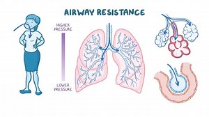 Video: Airflow, pressure, and resistance - Video Explanation! | Osmosis | Osmosis