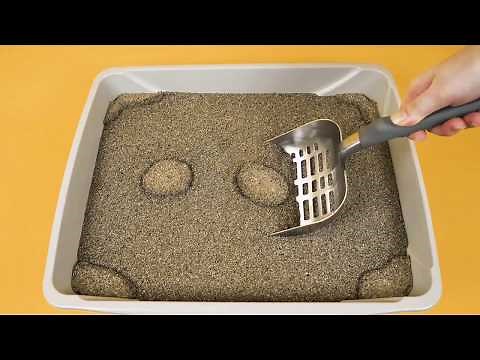 How to Use ARM & HAMMER™ SLIDE™ Cat Litter