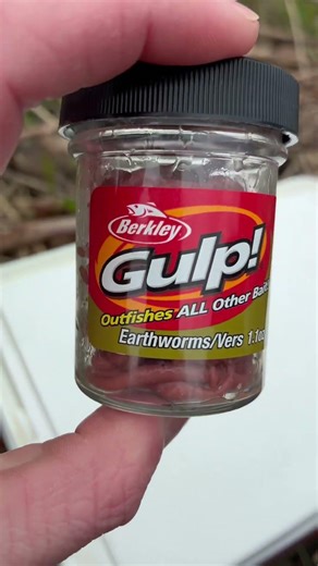 Looking for stuff at the river today #fishing #spring #mushrooms #4k #1080p