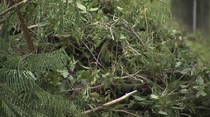 Curbside debris pickup after Hurricane Ian: Dates, locations and what's accepted