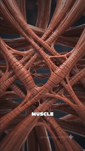 Why Do Your Muscles Cramp? The Science Behind the Pain ⚡️ Muscle CrampFacts #musclepain