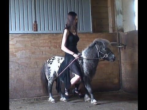 Girl Pony Riding in Stable #Pony #Ponyriding