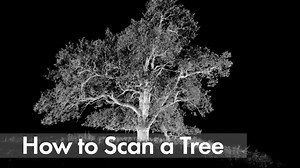 Forestry scientist Dr. Mat Disney counts all the leaves of a 400 year-old tree with a laser. The virtual image of the oak will reveal how much it has grown within a year, how much new wood it has made and even how much oxygen it has released. Watch Oak Tree: Nature's Greatest Survivor on Da Vinci Learning! | Da Vinci
