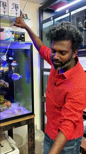 Perfect Glass Cleaning for Aquarium 🐟💎