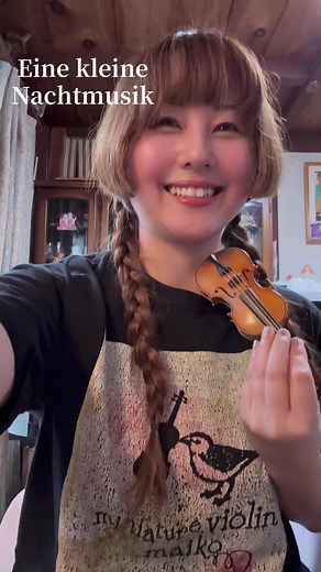 Eine kleine Nachtmusik#miniviolin #violin