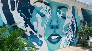 A new mural showcases the changing face of downtown Zephyrhills