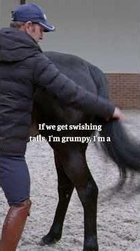 Dealing with a grumpy pony (or horse) when girthing? 👇🐴