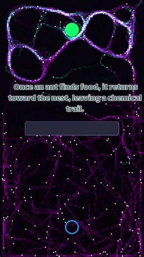 How Ants Find the Shortest Path (Simulation) 🐜#shorts #visualization #python