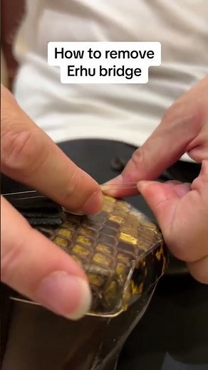 Beginner essentials: How to remove and put on erhu bridge #learnerhu.com #erhu #education #music