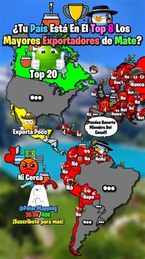🧉Is your country among the top 8 largest exporters of yerba mate?🧉 #mapping #geography #viral #sh...