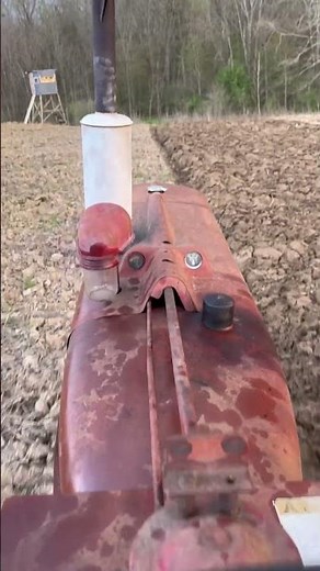 Farmall M plowing with 4 bottom on Friday Night #antiquetractors #farmall #plowing