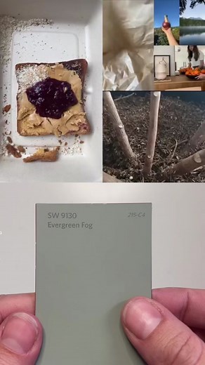 #duet with @nikitastakeeta This palette is jamming! 🍇 Color inspiration can truly be found anywhere. #SWcolorduet