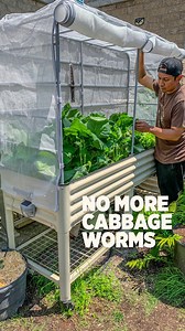 351K views · 6.8K reactions | We learned the hard way that cheap plastic tubs are a gardener’s nightmare!  After our brittle containers cracked and failed, we made the switch to durable metal planters from Vego Garden - and WOW, what a difference! Get an EXTRA 5% off any order using code: PLANTEDINTHEGARDEN5% at vegogarden.com #vegogarden #metalraisedbeds #gardenproject #homegrown #sponsored | Plantedinthegarden | Facebook