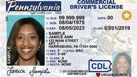 Driver's License Renewals