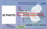 What Is A Class F Driver''s License Pictures