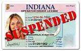 Photos of Indiana State Medical License
