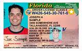 Florida Learner License Class E Restrictions Images
