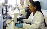 Pictures of Medical Laboratory Technologist Continuing Education