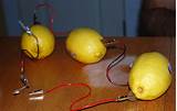 Fruit Electricity Science Project Photos