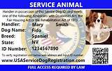 Service Animal Registry Number Photos