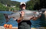 Fishing Alaska Salmon Images