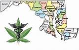 Photos of Medical Marijuana Card In Maryland