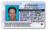 Pictures of Do You Need Driver License To Get Car Insurance