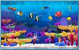 Free Fish Tank Screensaver Download Windows Xp Pictures