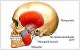 Photos of Muscle Exercises For Tmj