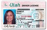 What Age Do You Get Drivers License Images