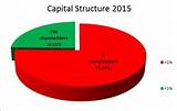 Pictures of Capital Structure