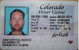 Denver Dmv License Pictures