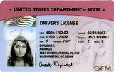 Images of Department Of Highway Safety And Motor Vehicles Driver License